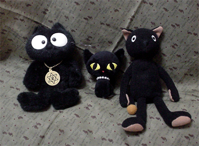 部屋に棲息している黒猫たち
