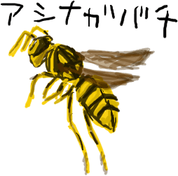Ȃ΂